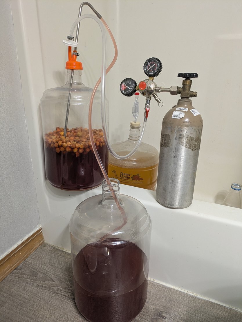 Sterile transfer of cherry mead between a primary fermenter on a ledge, with a CO2 tank next to it, into an empty fermenter on the floor
