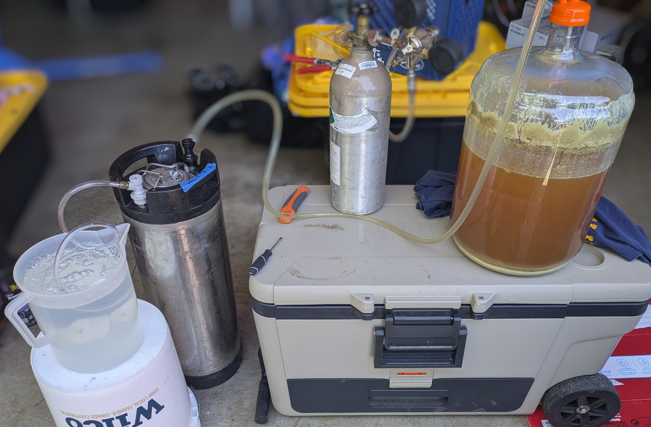 Fermentor and Co2 tank connected via tubing to a 5 gallon keg on the ground transferring beer