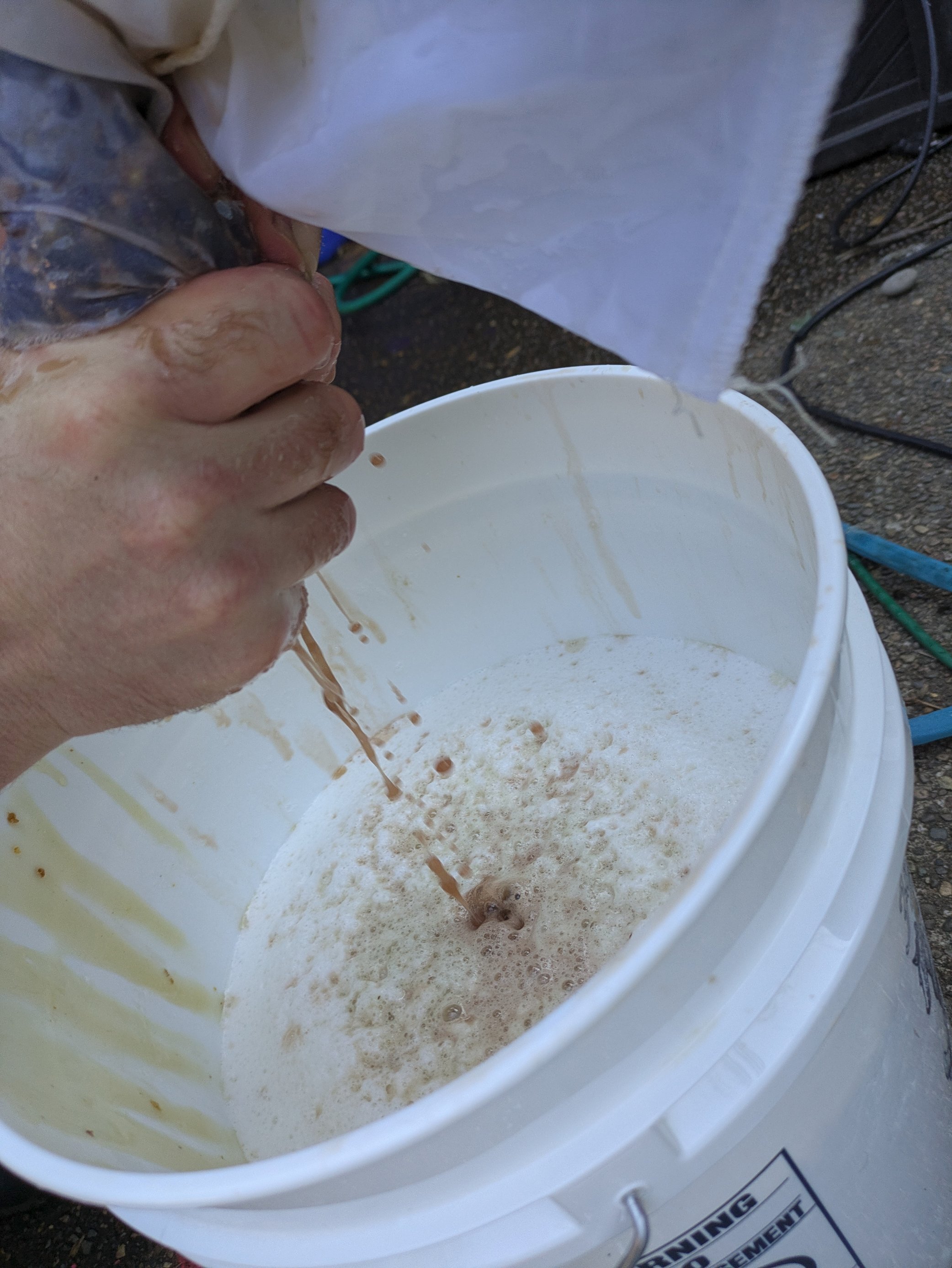 Mesh bag of pinot noir grapes being crushed by hand above a bucket fermenter containing mead must