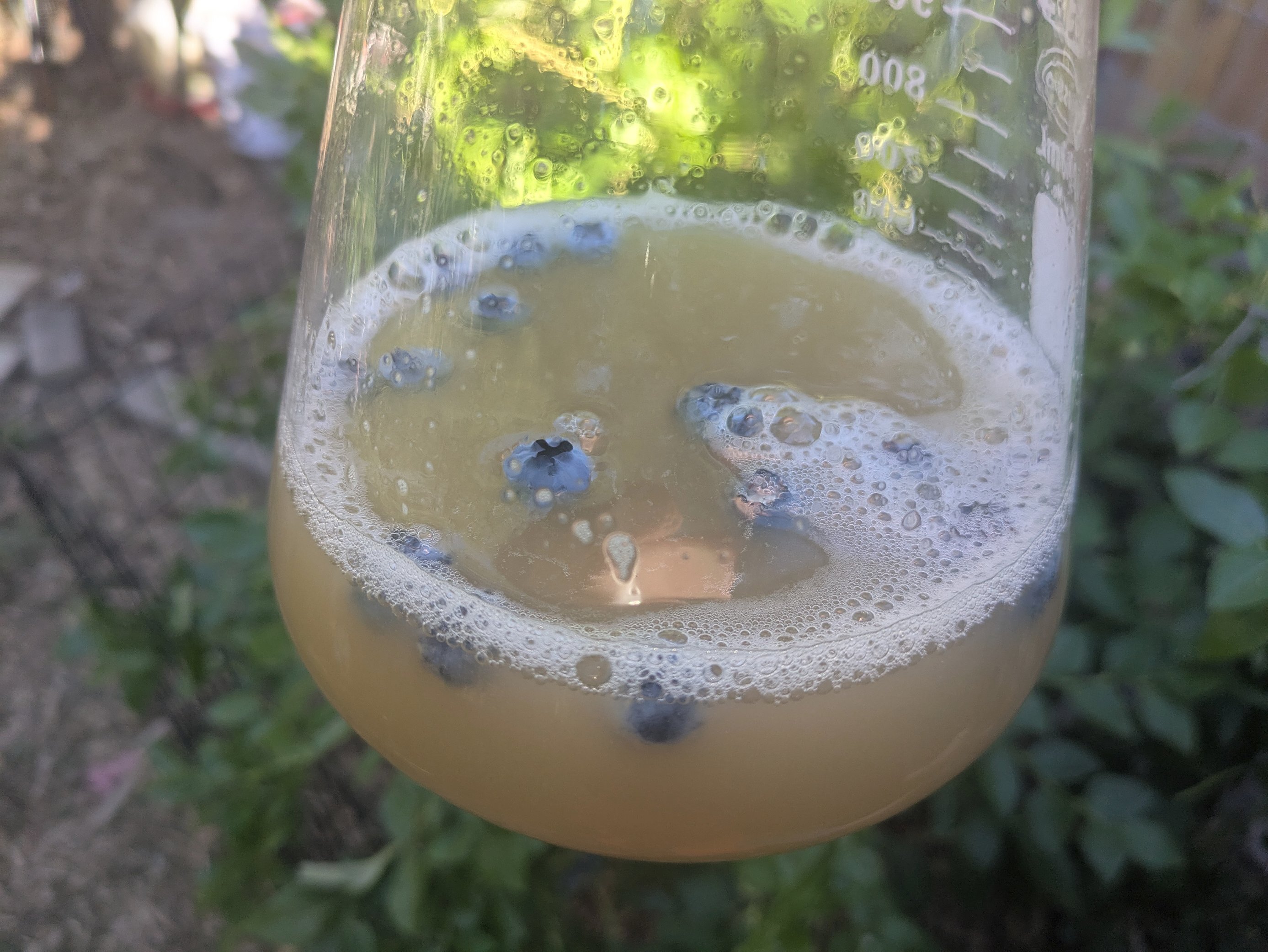 Berries added into wort