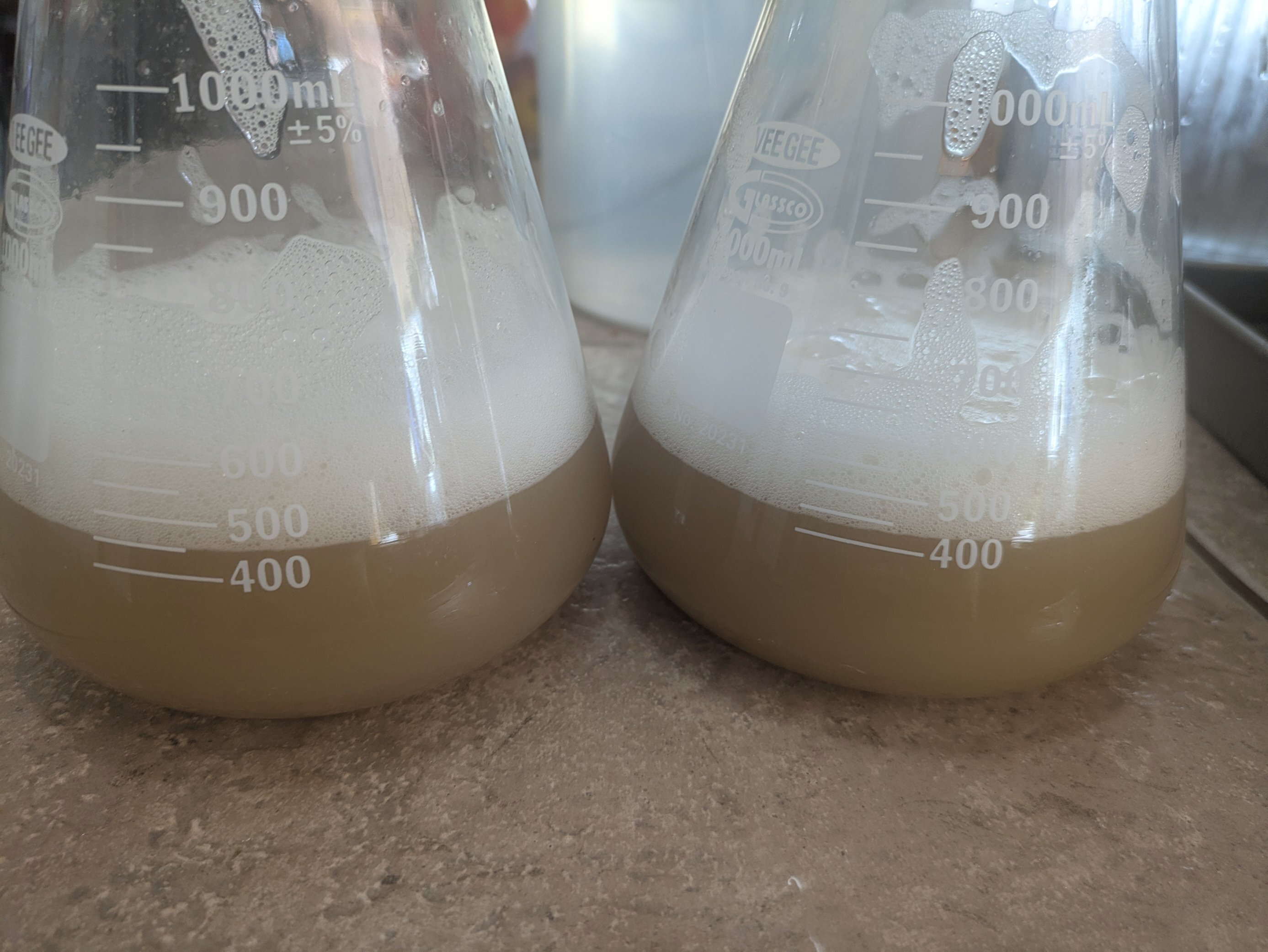 Wort in sanitized flasks