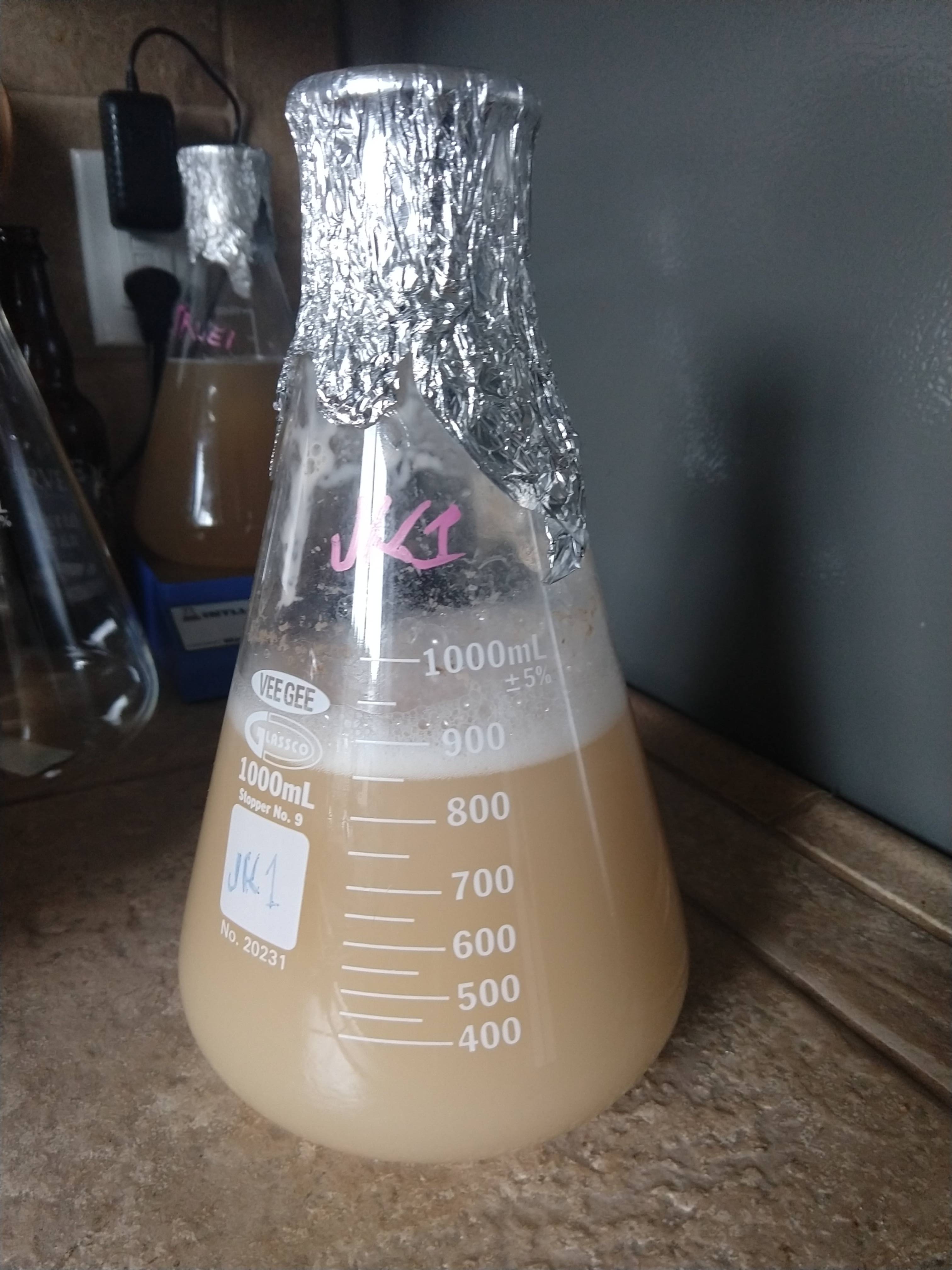 Grown yeast